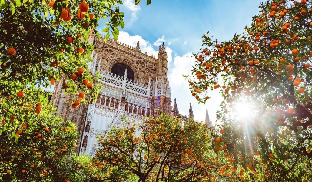 Epicenter Lujoso Apto Parking Gratis Perfecta Ubicacion Sevilla Kültér fotó